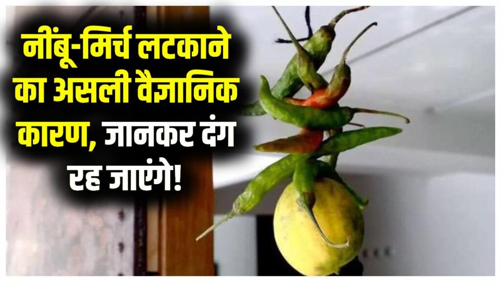 नींबू-मिर्च लटकाना सिर्फ अंधविश्वास नहीं! इसके पीछे छुपा है ये बड़ा वैज्ञानिक कारण, जानकर दंग रह जाएंगे 1 नींबू-मिर्च लटकाना सिर्फ अंधविश्वास नहीं! इसके पीछे छुपा है ये बड़ा वैज्ञानिक कारण, जानकर दंग रह जाएंगे