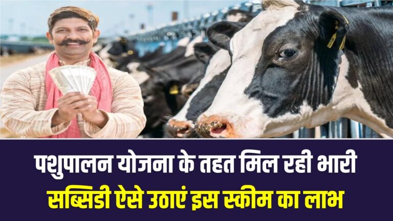 डेयरी खोलें, 50% खर्चा सरकार देगी! पशुपालन योजना के तहत मिल रही भारी सब्सिडी; ऐसे उठाएं इस सरकारी स्कीम का लाभ