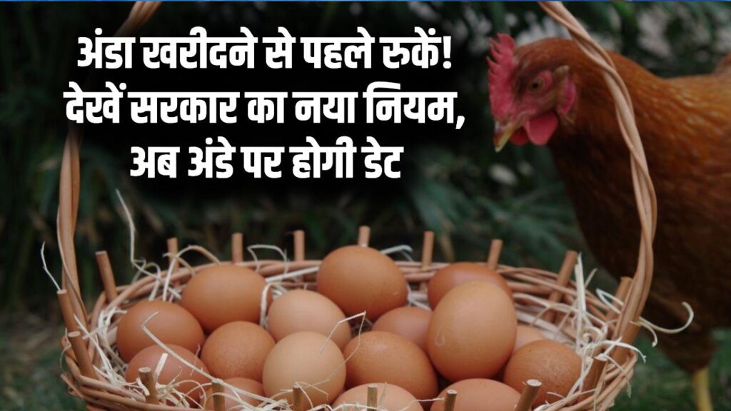 अंडा खरीदने से पहले चेक कर लें ये 'तारीख'! सरकार का नया आदेश: अब मुर्गी के अंडे पर लिखा होगा—कब हुआ पैदा?