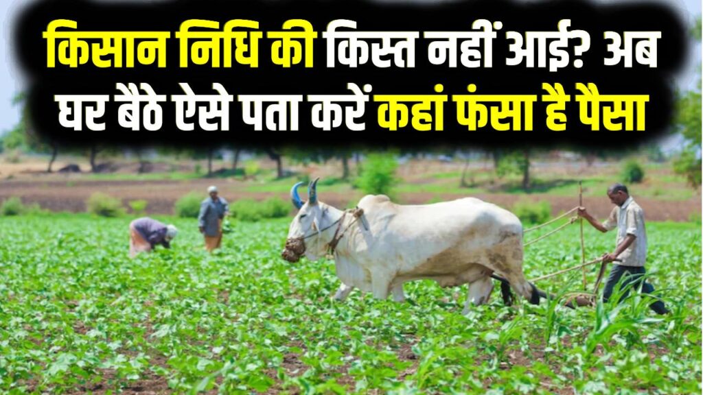 किसान निधि की किस्त नहीं आई? अब घर बैठे ऐसे पता करें कहां फंसा है पैसा; इस नंबर पर करें कॉल अभी