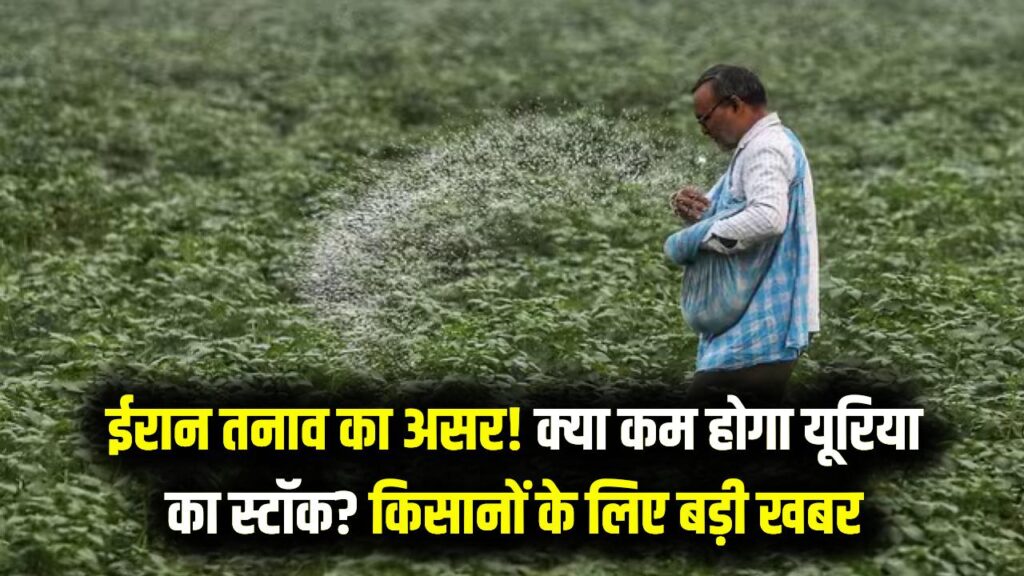 खेती पर मंडराया संकट? ईरान तनाव के बीच यूरिया स्टॉक पर आई बड़ी खबर; किसान भाई जरूर पढ़ें ये जरूरी अपडेट