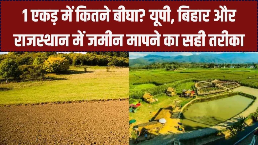 1 एकड़ में कितने बीघा? यूपी, बिहार से राजस्थान तक बदल जाता है नाप; आज जान लीजिए जमीन मापने का बिल्कुल सही तरीका 1 1 एकड़ में कितने बीघा? यूपी, बिहार से राजस्थान तक बदल जाता है नाप; आज जान लीजिए जमीन मापने का बिल्कुल सही तरीका