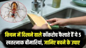 सावधान! किचन में दिखने वाले कॉकरोच फैलाते हैं ये 5 खतरनाक बीमारियां, हल्के में लिया तो अस्पताल के चक्कर काटते रह जाएंगे