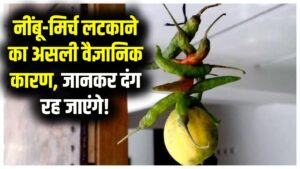 नींबू-मिर्च लटकाना सिर्फ अंधविश्वास नहीं! इसके पीछे छुपा है ये बड़ा वैज्ञानिक कारण, जानकर दंग रह जाएंगे