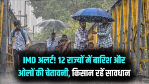 अगले 24 घंटे भारी! 12 राज्यों में बारिश और ओलावृष्टि का 'ऑरेंज अलर्ट', IMD की इस चेतावनी ने बढ़ाई किसानों की चिंता