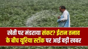 खेती पर मंडराया संकट? ईरान तनाव के बीच यूरिया स्टॉक पर आई बड़ी खबर; किसान भाई जरूर पढ़ें ये जरूरी अपडेट