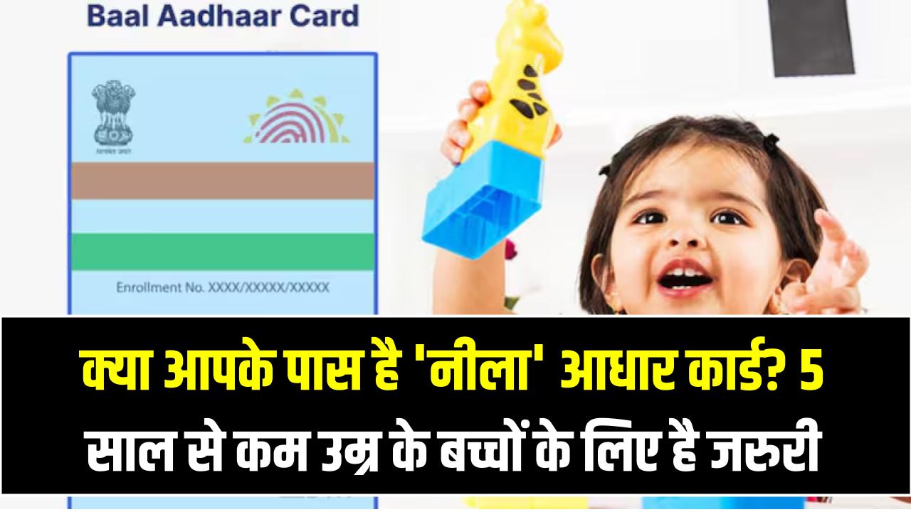 क्या आपके पास है 'नीला' आधार कार्ड? 5 साल से कम उम्र के बच्चों के लिए क्यों है यह जरूरी, घर बैठे ऐसे करें अप्लाई
