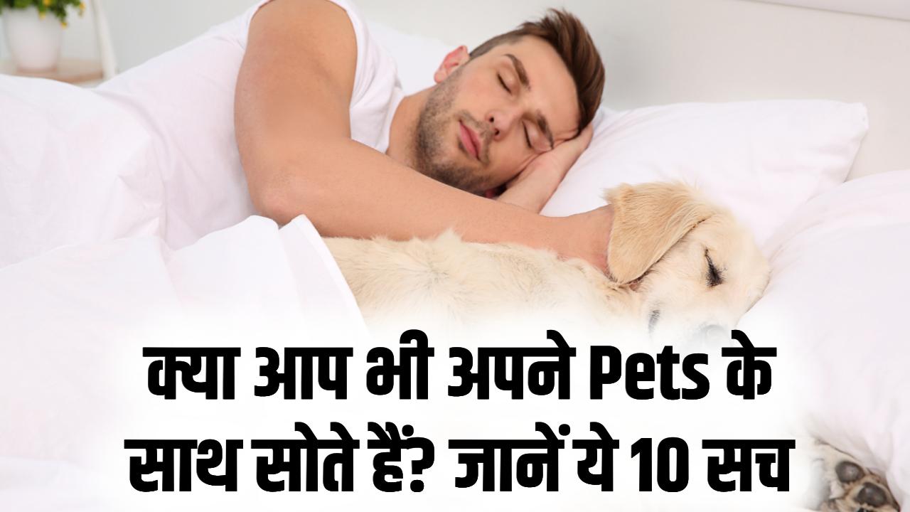 अपने कुत्ते-बिल्ली के साथ सोते हैं? वैज्ञानिकों ने खोजे ऐसे लोगों के 10 अनोखे व्यक्तित्व गुण, जो आपको दूसरों से अलग बनाते हैं