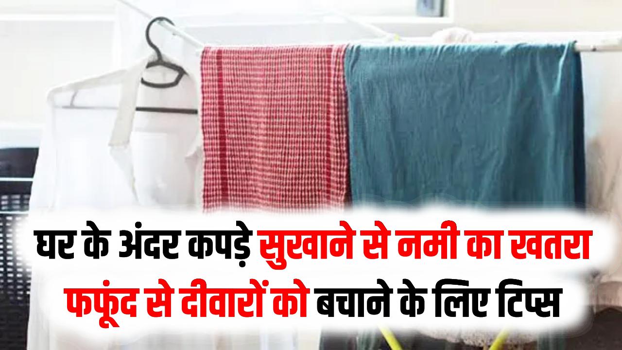 घर के अंदर कपड़े सुखाने से नमी का खतरा: फफूंद से दीवारों को बचाने के लिए ये टिप्स आएंगे आपके काम