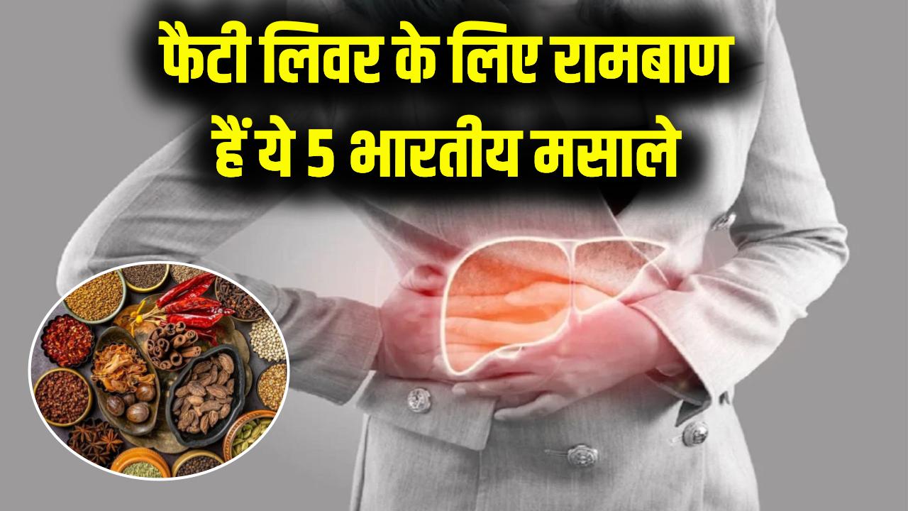 फैटी लिवर की समस्या से हैं परेशान? भारतीय रसोई के ये 5 मसाले हैं किसी रामबाण से कम नहीं, जानकारों की राय